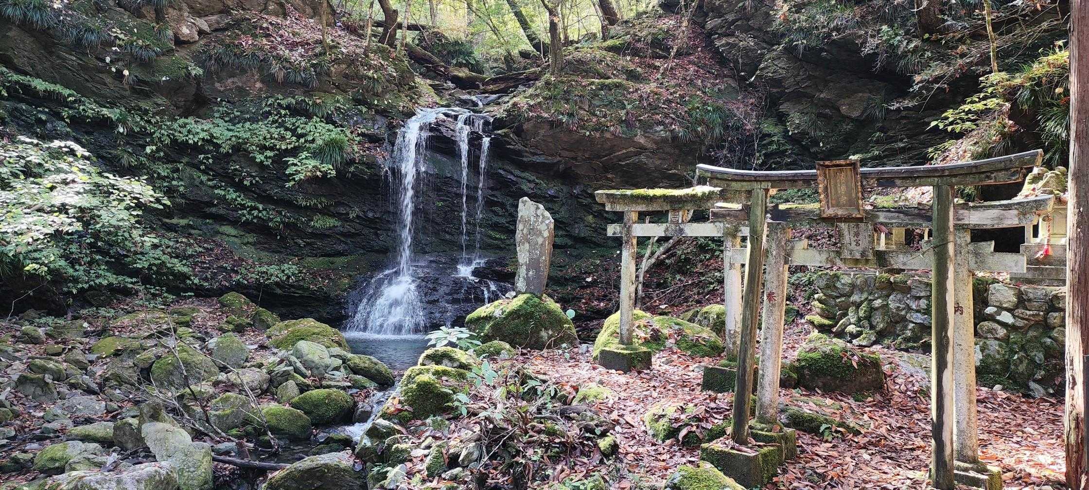 清浄の滝
スタートから30～40分で来れます
ベンチもあるし
最初の休憩ポイントに調度良い