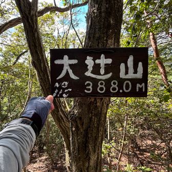主稜線に戻り大辻山通過