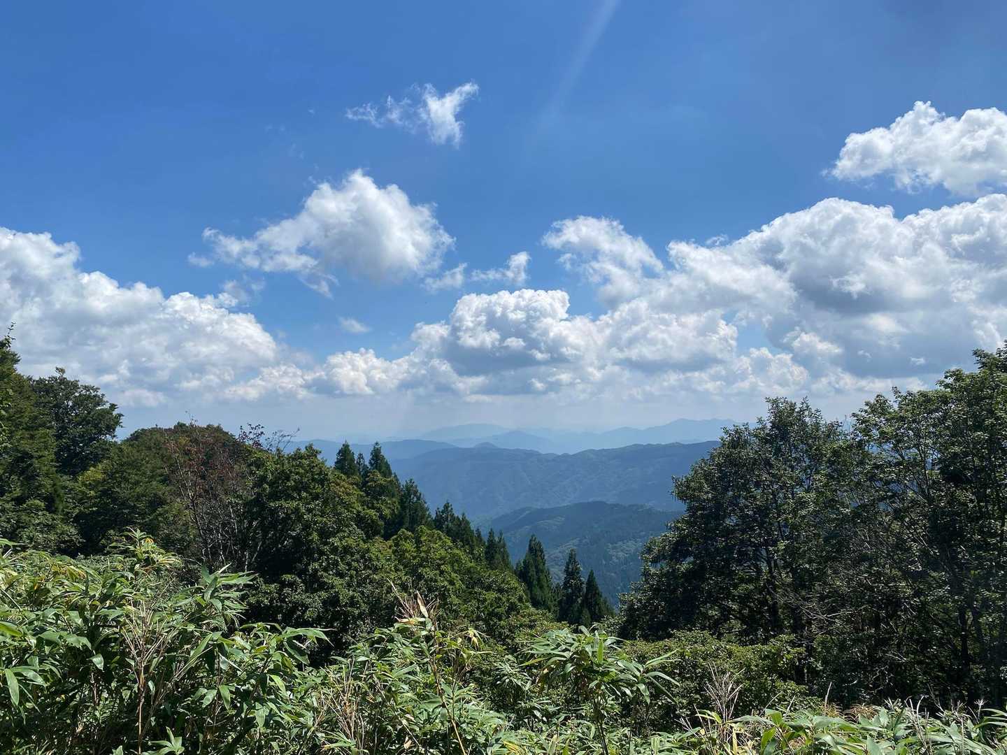 鉢伏口〜親水公園〜氷ノ山山頂〜東尾根　周回コースの写真