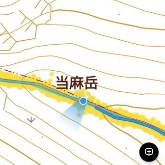 あれ？って思って地図見るとココが当麻岳。山頂感はない平らなピーク