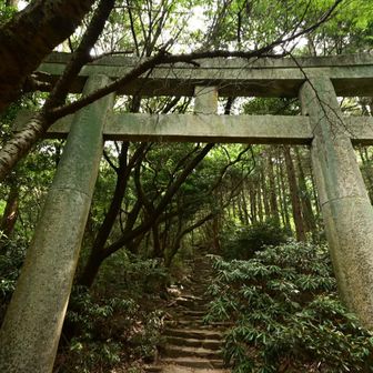 鳥居を潜って進みます
