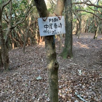 平坦なところにプレートあり｡