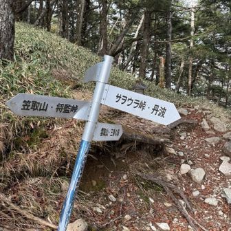 将監小屋からここまでのトラバース路が単調だけど気を遣う狭さもあり疲れた。