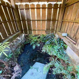 神水　　　んー… どーでしょう。
飲める感じではなさそうでした、、