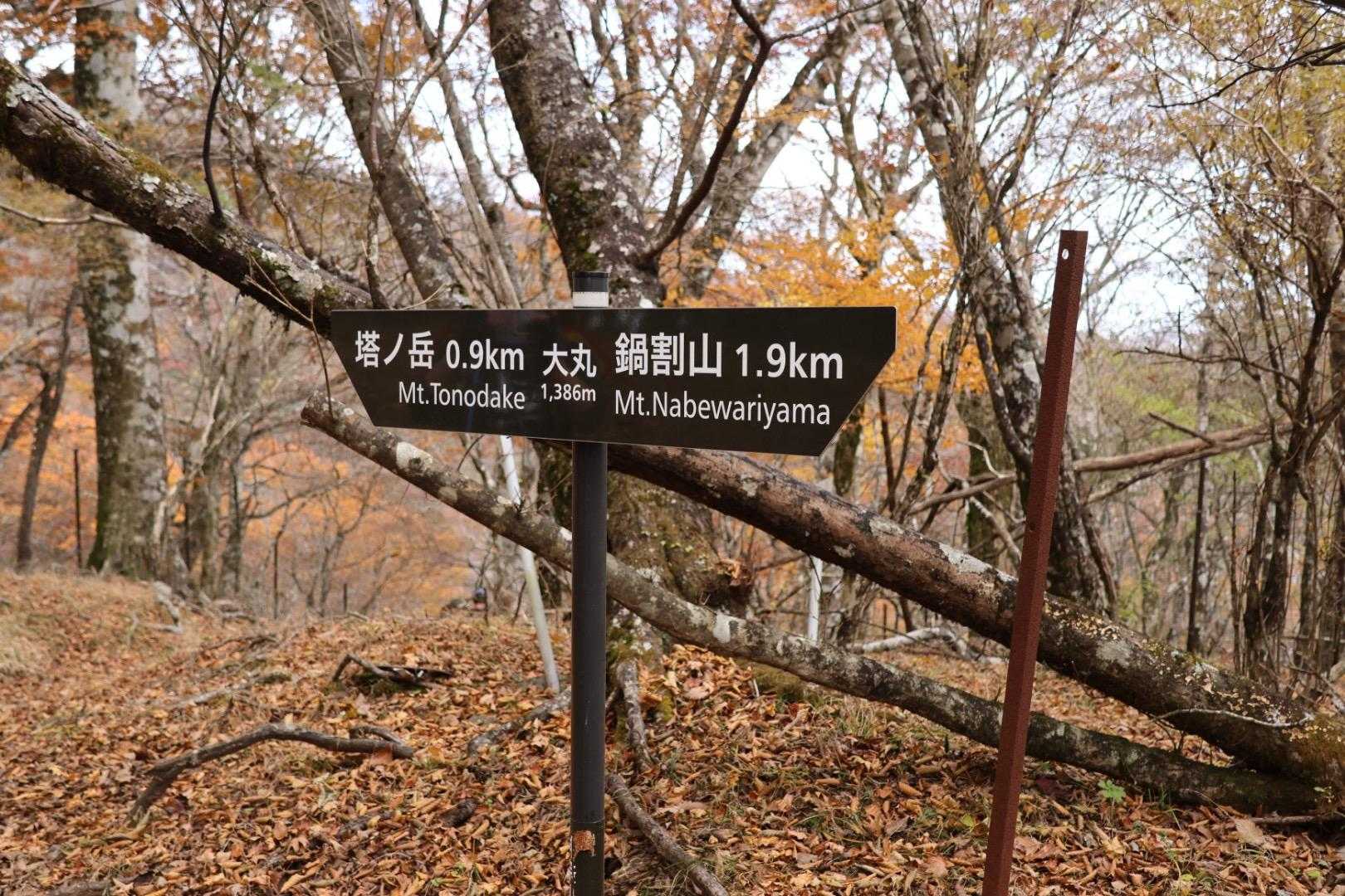 大丸到着