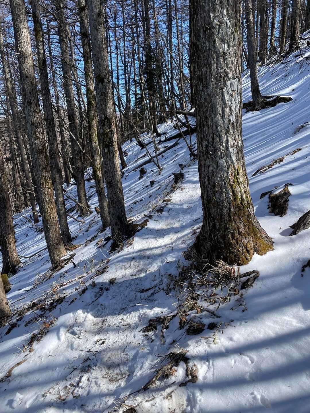 峠から雪が出てきたね。