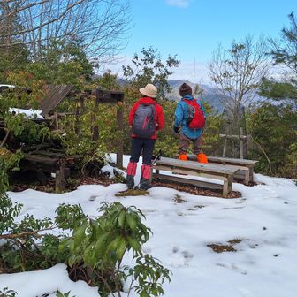 ここで、ランチタイム