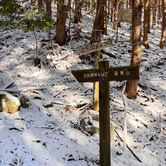 やっと登山口！！