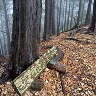 下山は、眺望コースを予定していたが、真っ白で眺望0️⃣健脚コースも雨でドロドロにならなさそうなので、距離が短い健脚コースで下山した🙂
帰りに寄ってみた😃