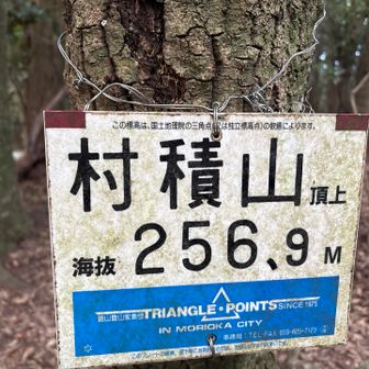 じゃじゃん‼️