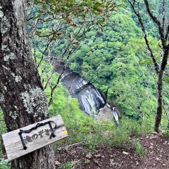 「滝のぞき」日本三大名爆 袋田の滝を上から
