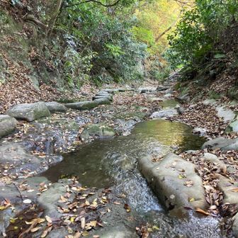 大楠山を下りたあたりから沢沿いの道に