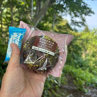 行動食にソフトクッキーとセブンイレブンのドーナツ🍩