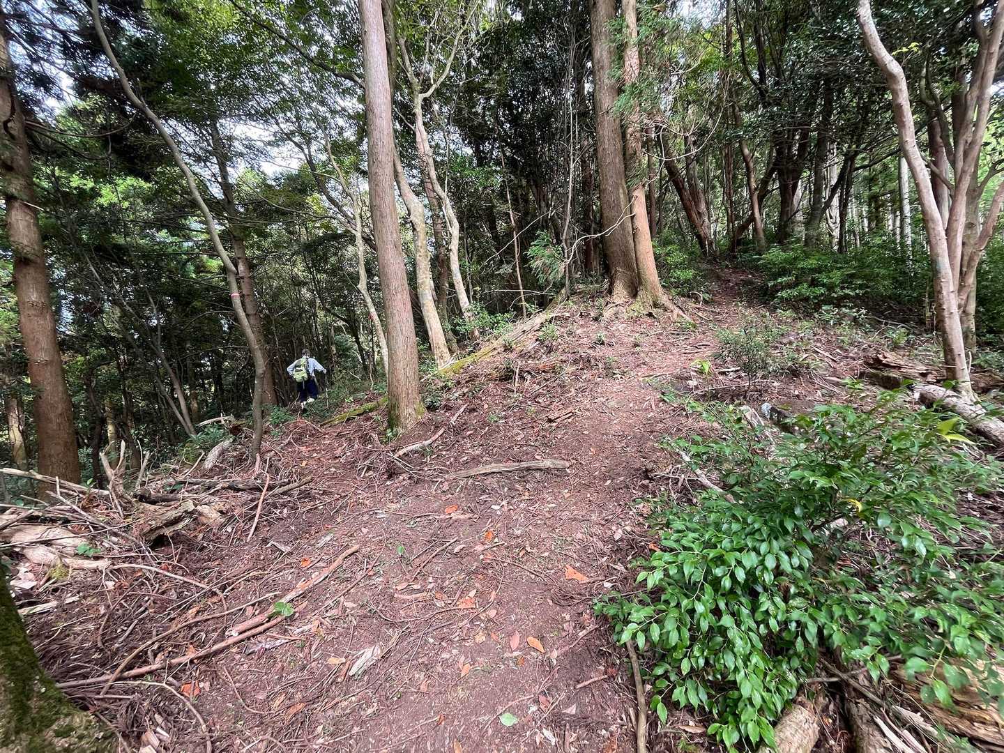 帰ります。
烏帽子岳へは登り返さず、楽チンコースへ↖️