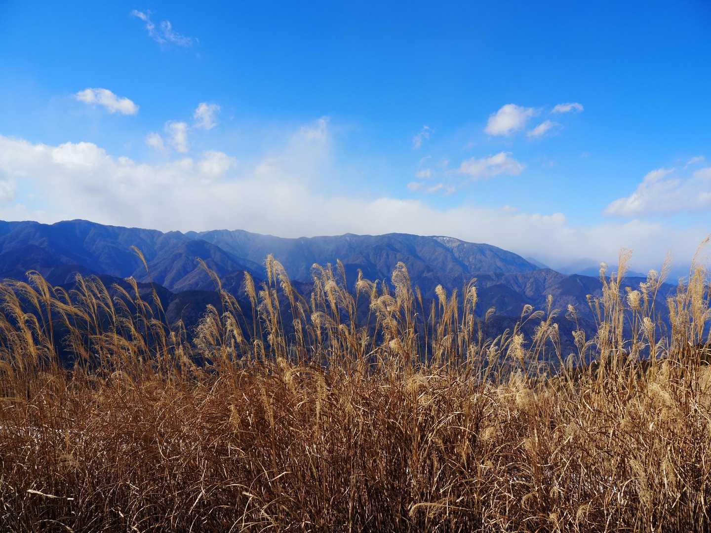 八紘嶺と七面山