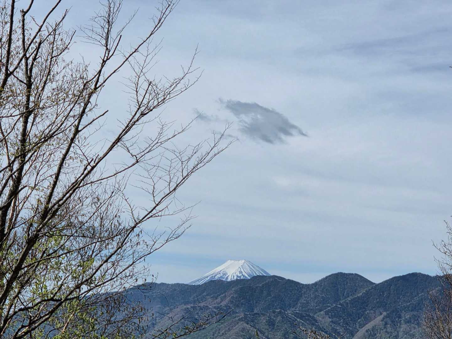富士山見えた🗻