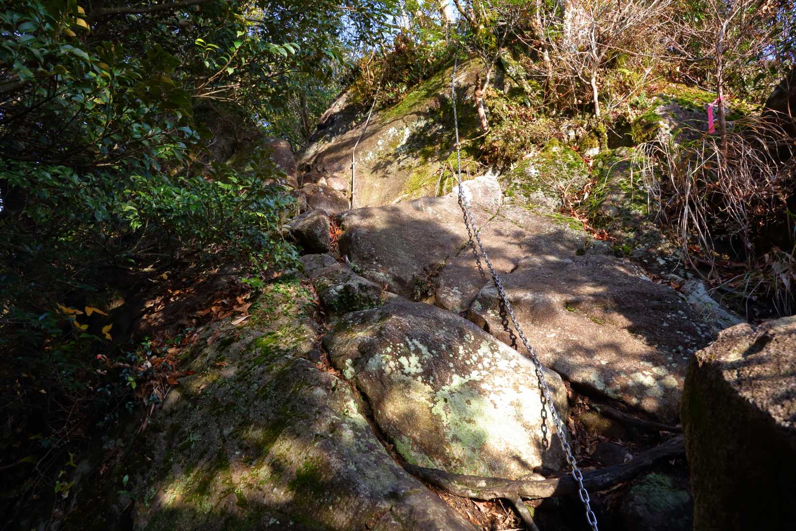 愛宕山入口-舟見岳-舟見岳入口-交蔓山-片城山-飯盛山 周回コースの写真