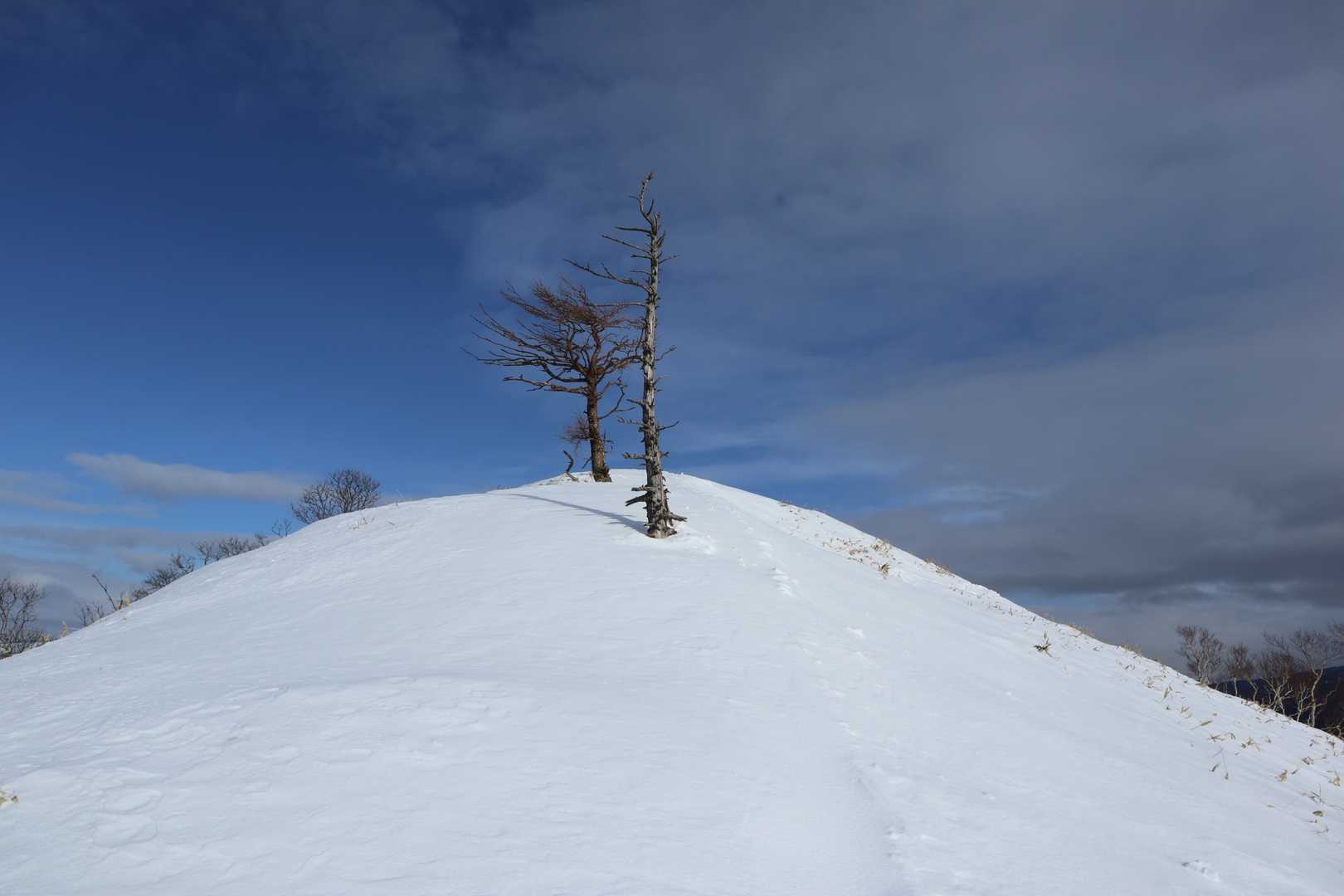 絵になる山頂