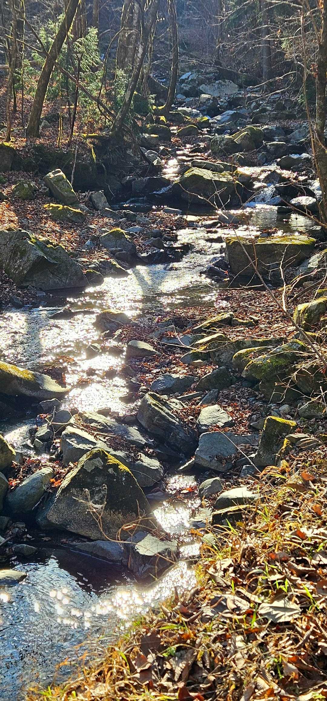 　　下山時　三ヶ瀬川の、流れ　✨✨
