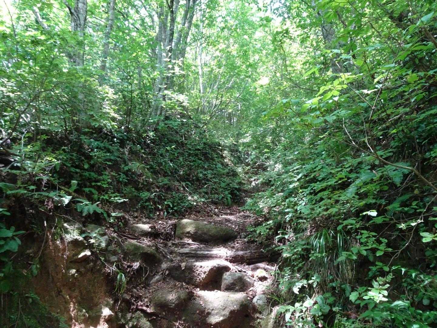 金峯山 往復コースの写真