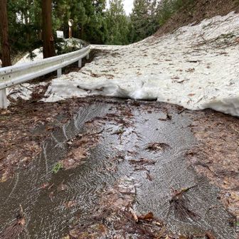 こうして春になるんだなあ