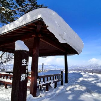 生森山（おおもりやま）