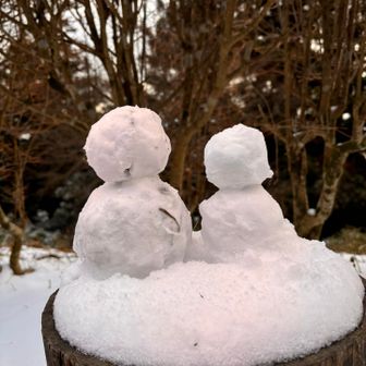 キャンセンの小屋番さん
2人⛄️⁷₍⁽՚ᵕ՝⁾₎₇⛄️に別れを告げ
下山開始‼️