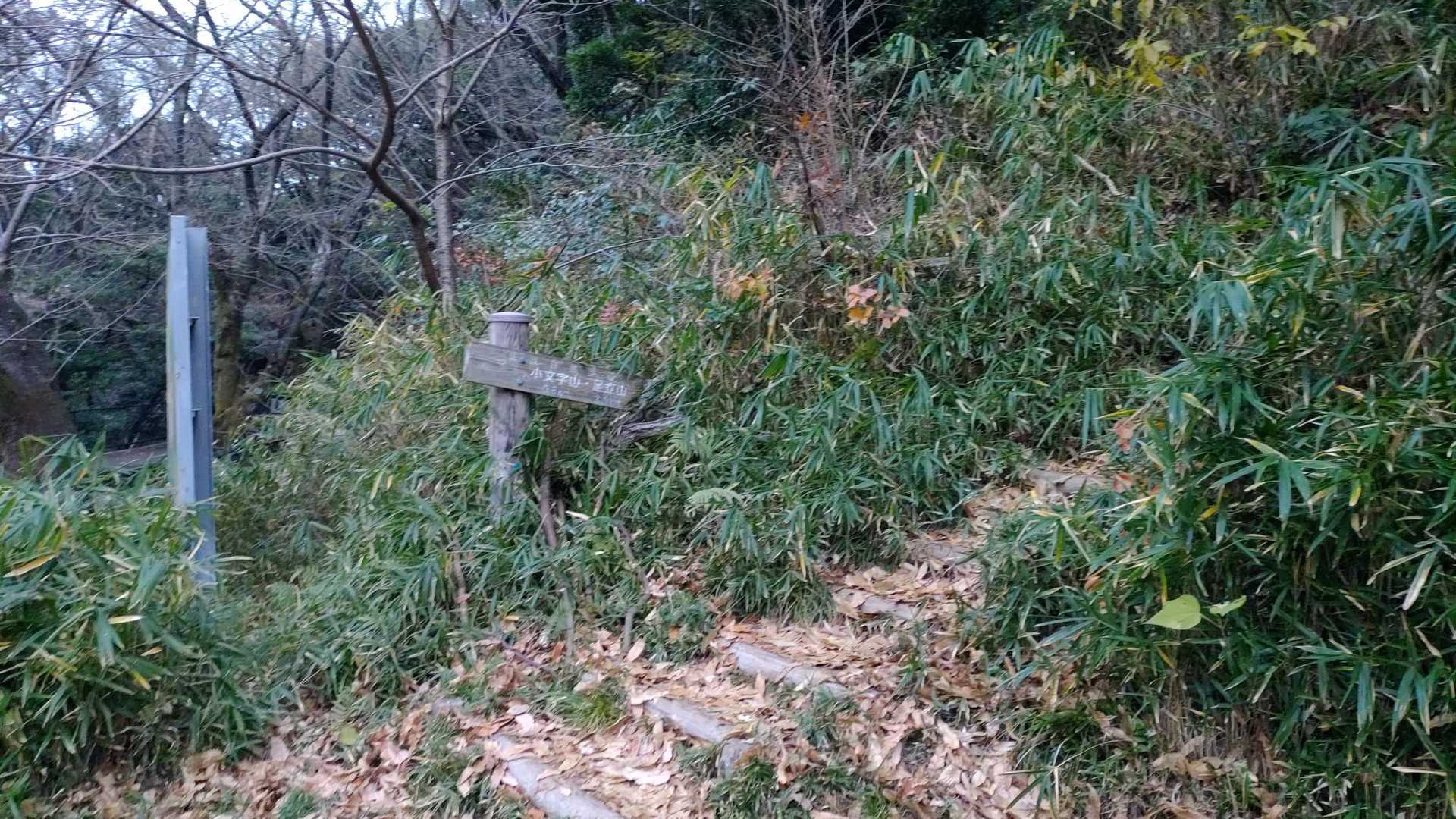 登頂開始❗️