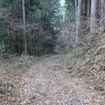 林道に出ます。