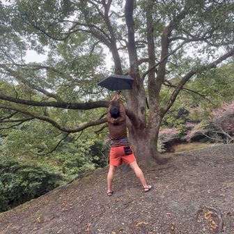 月見山でお山ポーズしまちた▲