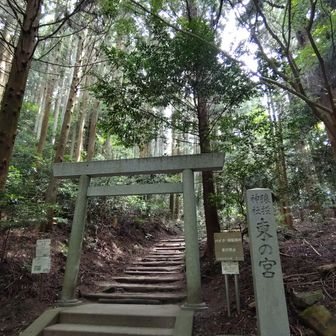 東の宮の領域に入ります😌