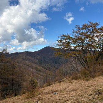 雲取山、ここから見ると結構遠い