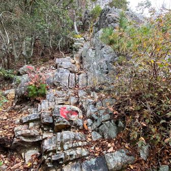 以外と登りやすい