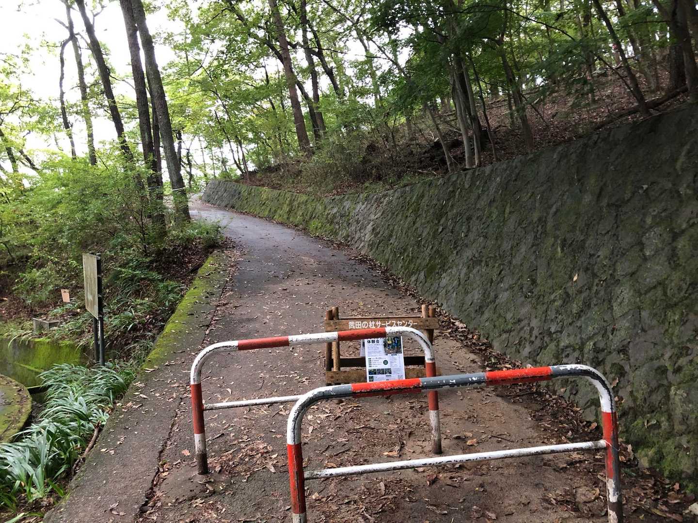 湯村山の山頂直下までは、舗装路が続いています。