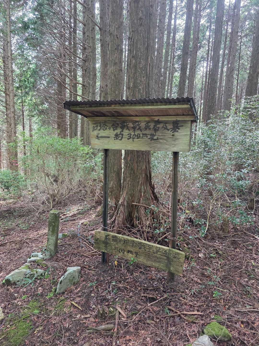 ちょっとこわい