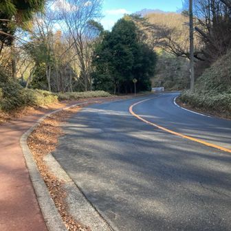 縦走路に戻り舗装道路歩き
しかしこのあと道を間違える💦