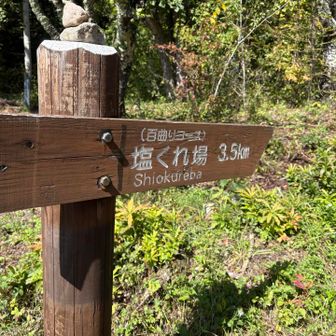 やっと降りて来た！
