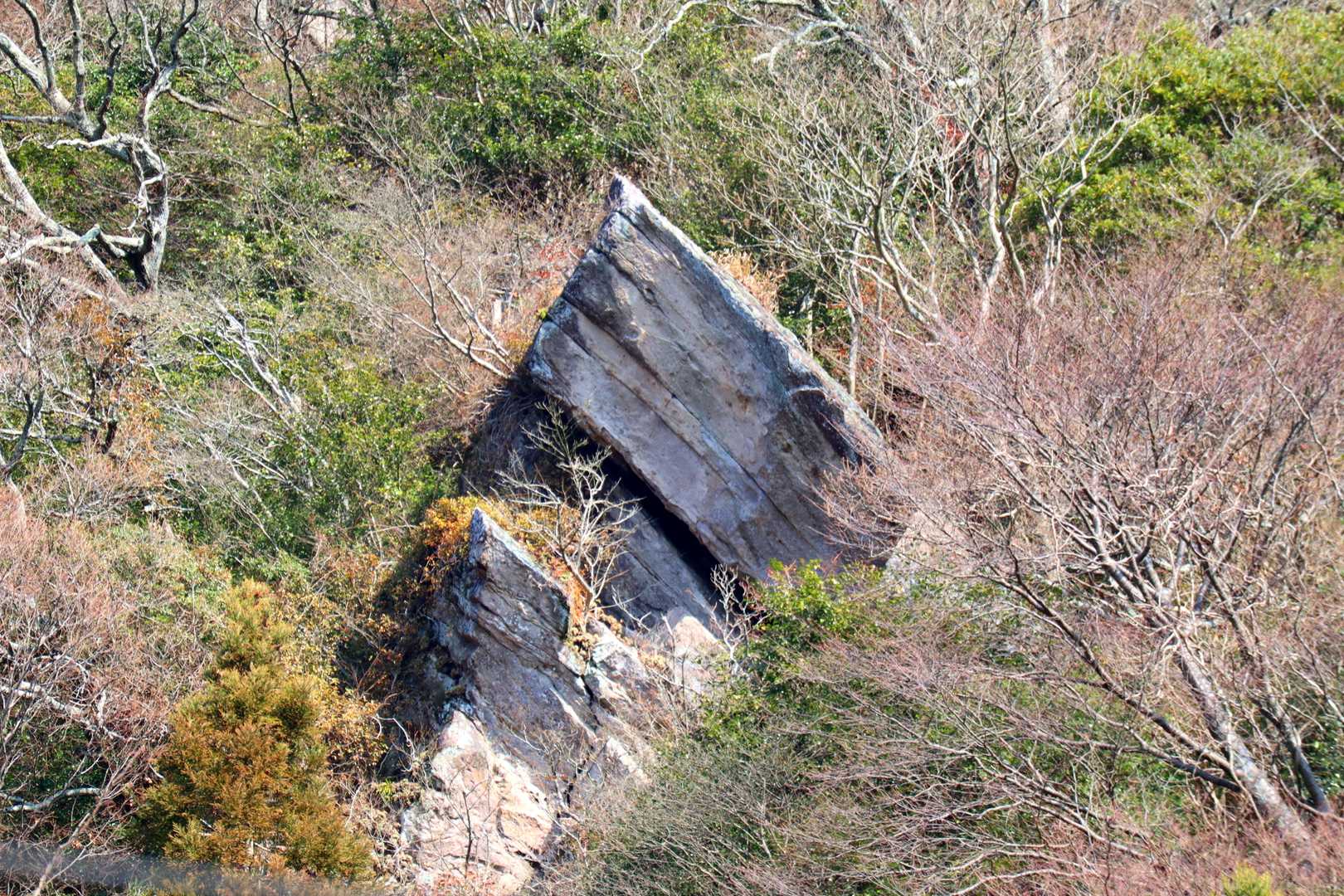 南登山口まで下りてきて、背もたれのある広いベンチで休んでいると、正面に今まで何度も高崎山に登っているのに気づいてなかった、先の尖った大岩が見えます😧

おー－－😮　この形は小さいながらスイスのマッターホルンだ😍

新発見に自分で感動しました✨😆