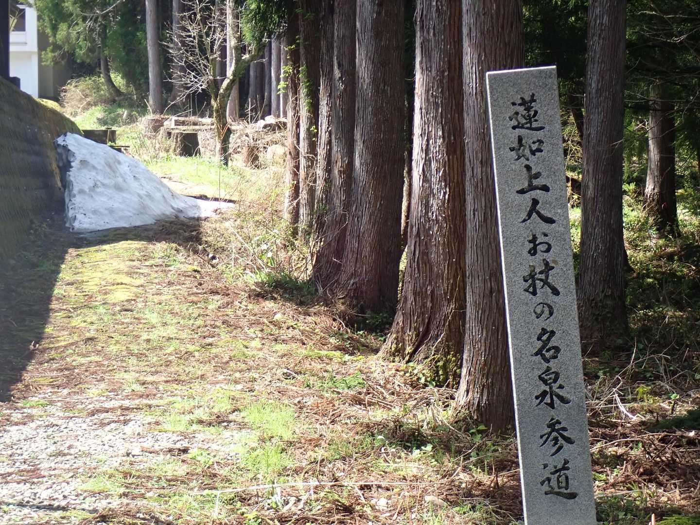 奥城山へ、　いざシャクナゲを愛でに。