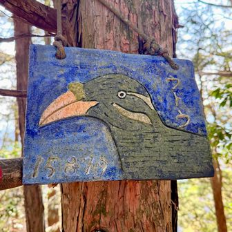 ウトウの頭に到着（東京百山）