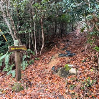 ワクワクスタート▶️