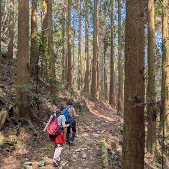 あと少し🚶‍♀️