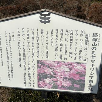 ミヤマキリシマで有名です