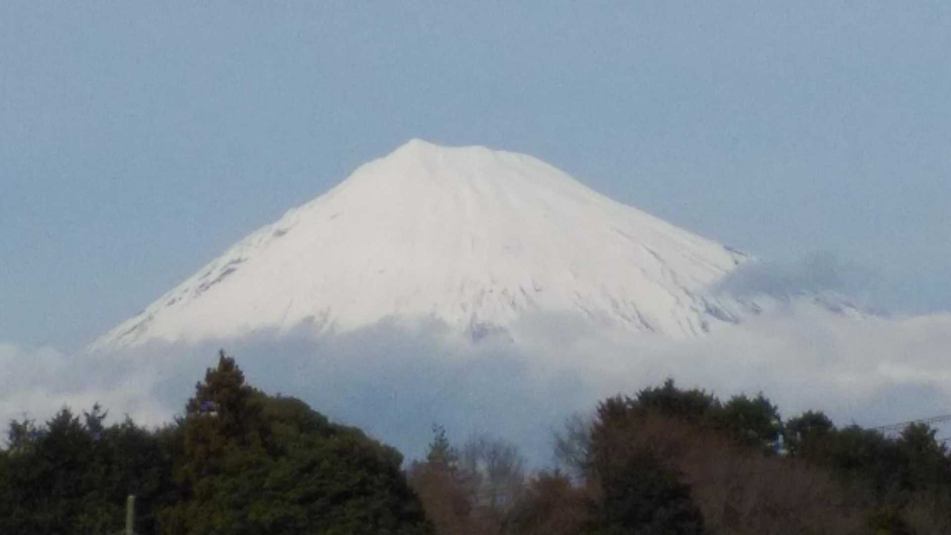岩本山 往復コースの写真