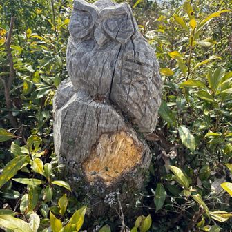 フクロウの木彫り