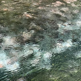 膝痛で３日目の予定は変更して
