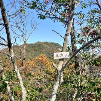 岩戸山からのポツンと岐阜城🏯