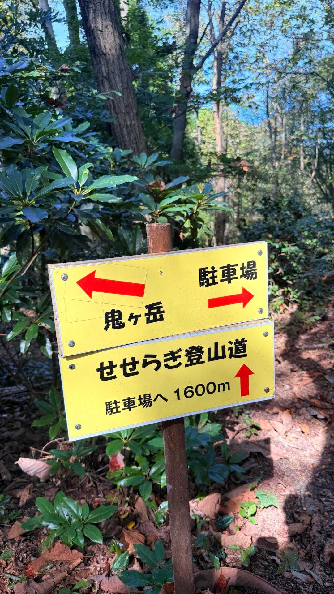 せせらぎ登山道に癒されに行きます🤭