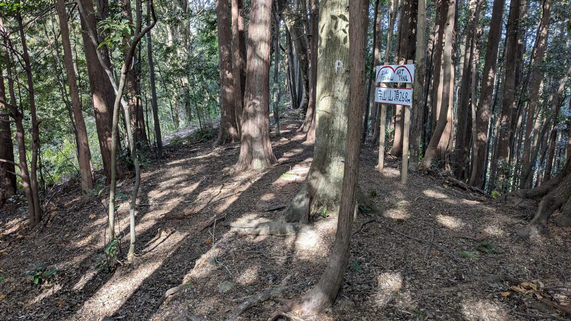 山頂のようす。