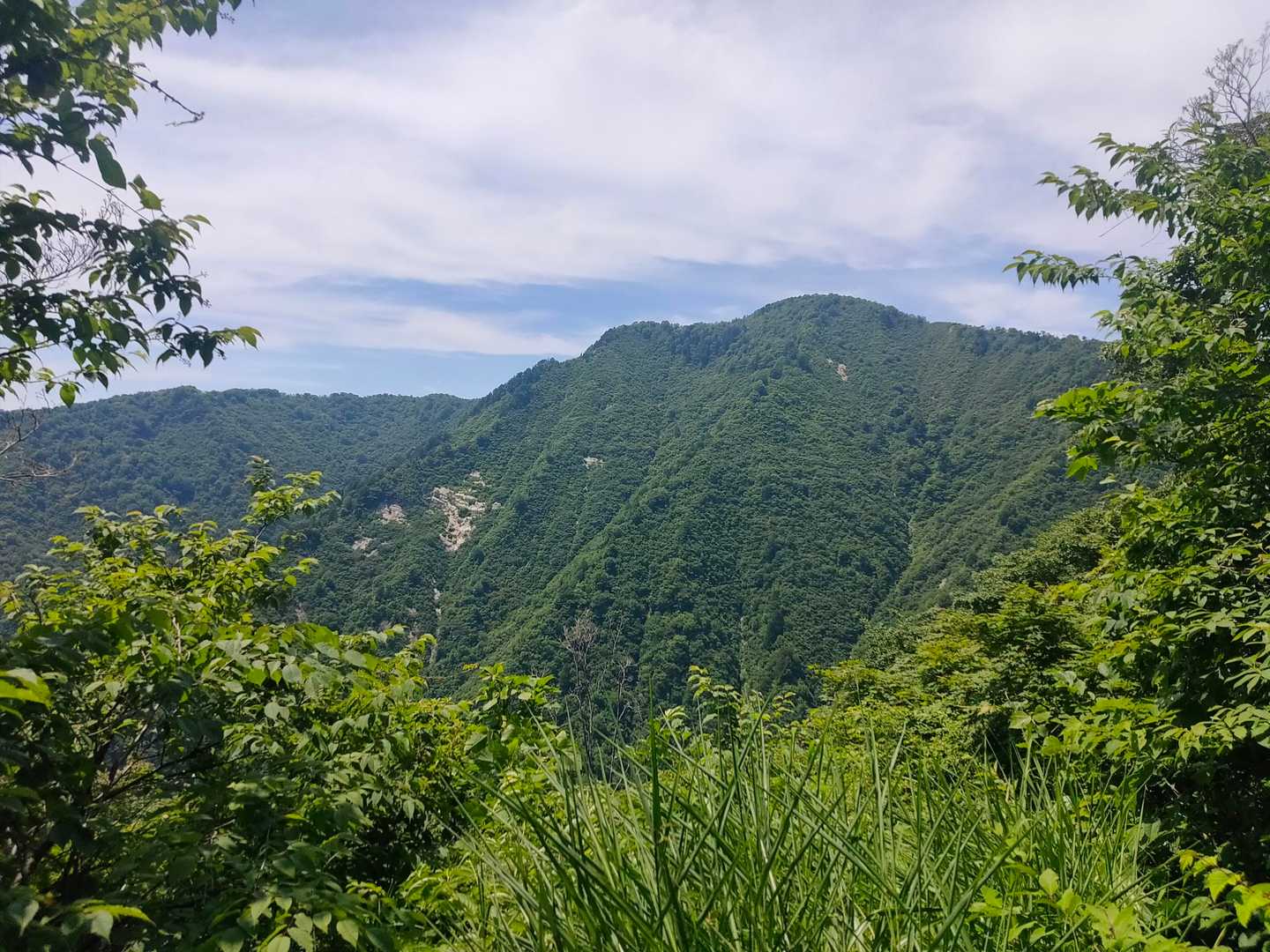 口三方岳 往復コースの写真